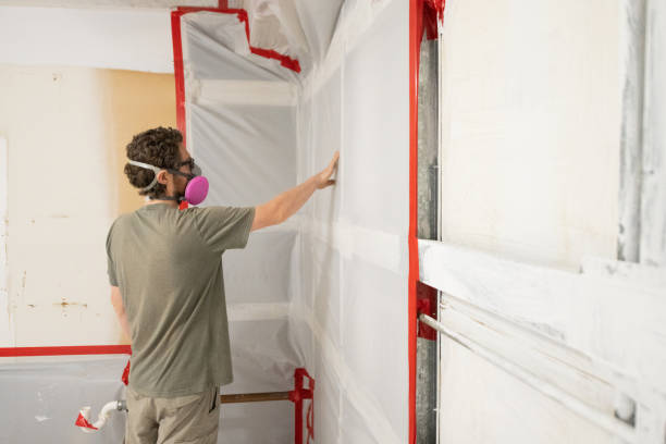 Best Dehumidification Services  in Paw Paw Lake, MI