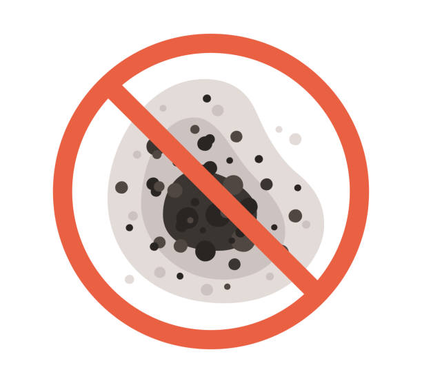 Best Airborne Mold Testing  in Paw Paw Lake, MI