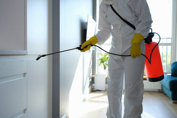 Best HVAC Mold Inspection and Cleaning  in Paw Paw Lake, MI