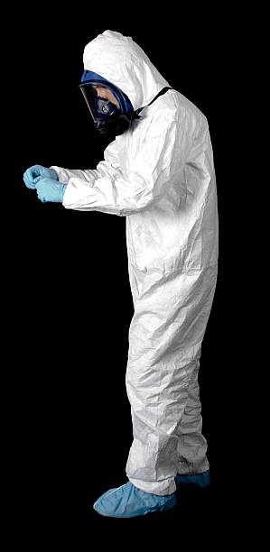 Best Emergency Mold Remediation  in Paw Paw Lake, MI