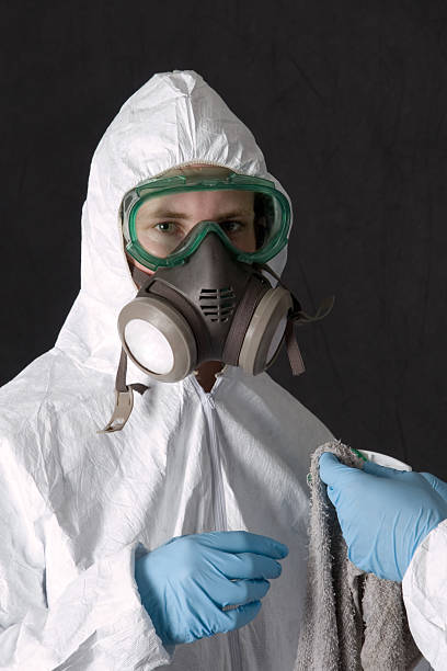 Best Crawl Space Mold Remediation  in Paw Paw Lake, MI